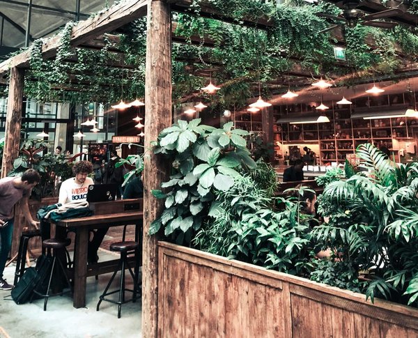 How to Optimize a Small Urban Patio for Year-Round Vegetable Gardening?